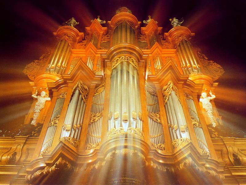 organ